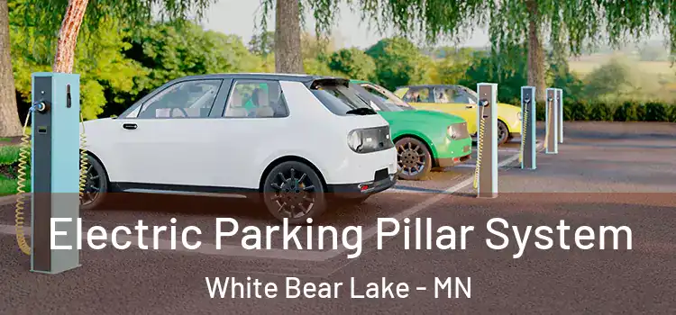 Electric Parking Pillar System White Bear Lake - MN