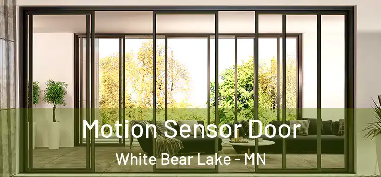 Motion Sensor Door White Bear Lake - MN