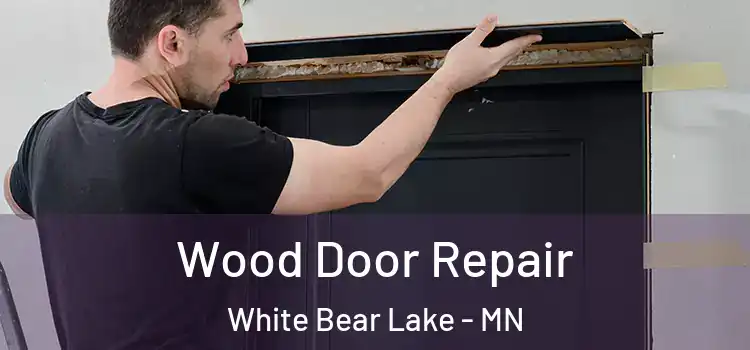 Wood Door Repair White Bear Lake - MN